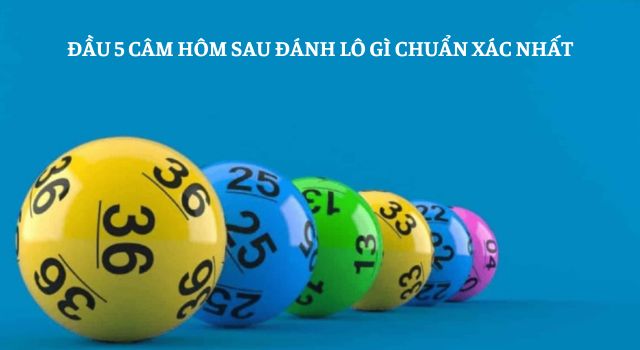 Thống kê lô đầu 5 câm hôm sau đánh lô gì chuẩn xác nhất