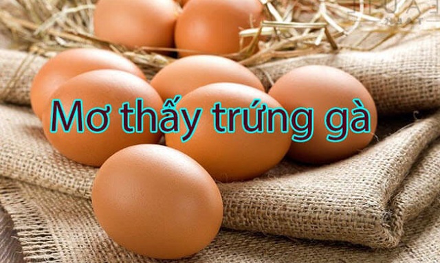 Nằm mơ thấy trứng gà hoặc vịt với nhiều sắc màu Nằm mơ thấy trứng gà hoặc vịt với nhiều sắc màu