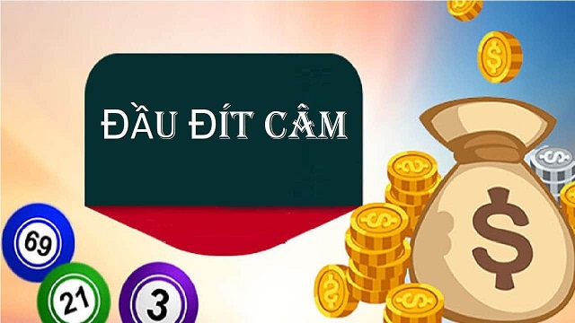 Đánh lô đề câm đít câm là như thế nào
