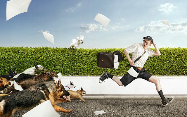 Nằm mơ thấy chó cắn nên đánh con gì Nằm mơ thấy chó cắn nên đánh con gì