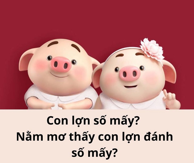 Giải đáp cho câu hỏi con heo số mấy Giải đáp cho câu hỏi con heo số mấy