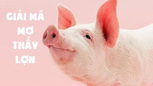 Giải mã điềm báo nằm mơ thấy heo