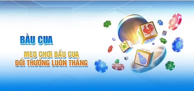 Bạn có thể vận dụng cách cược sole Bạn có thể vận dụng cách cược sole