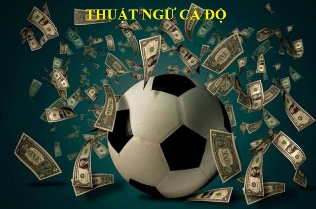 Nắm chắc cho mình 50 thuật ngữ cá độ bóng đá